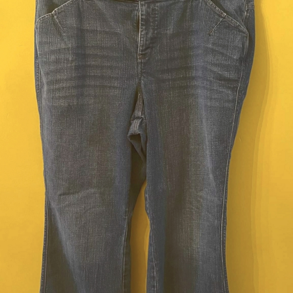 Lane Bryant size 22 TTT